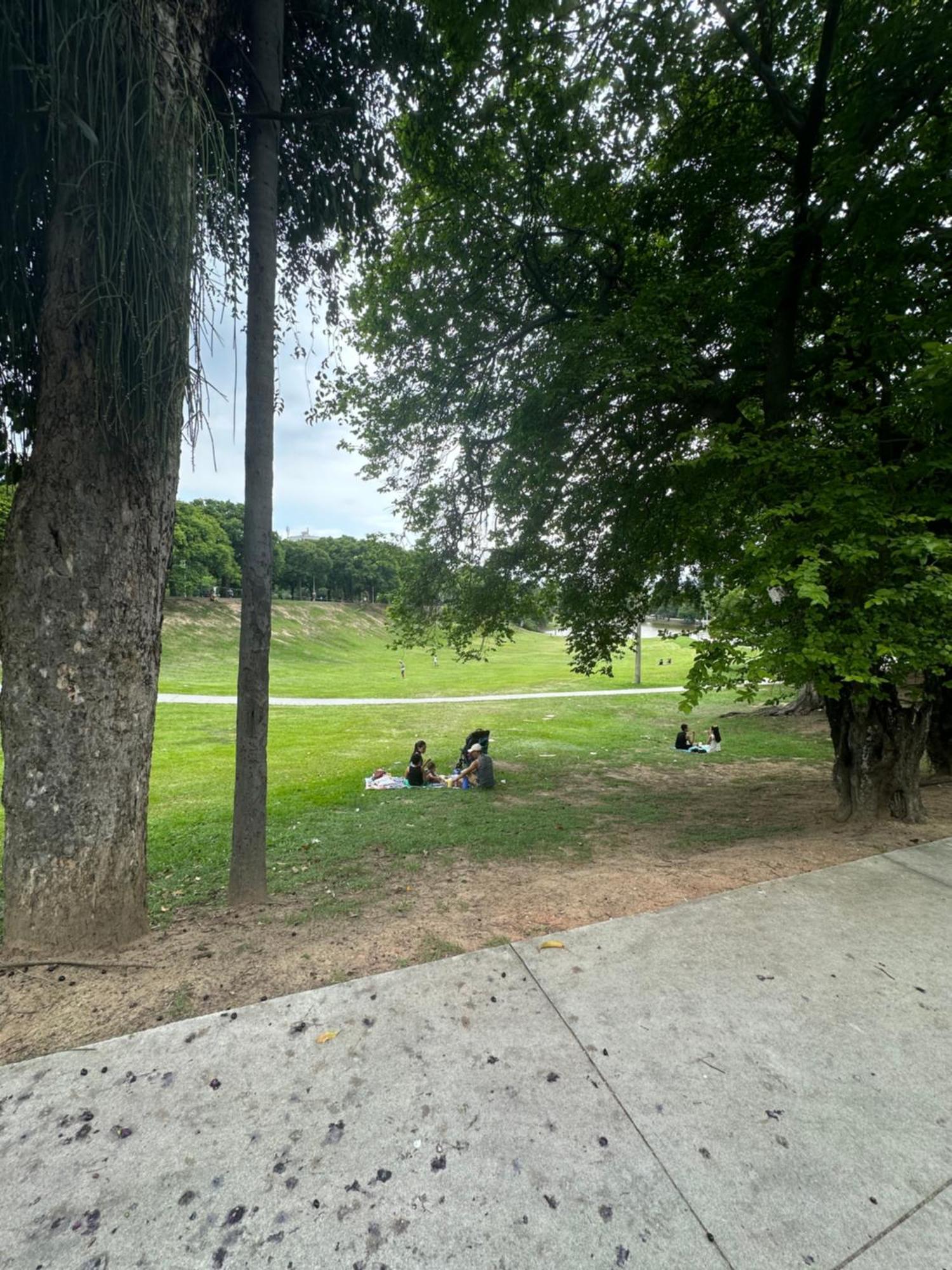 O Queridinho Rio de Janeiro